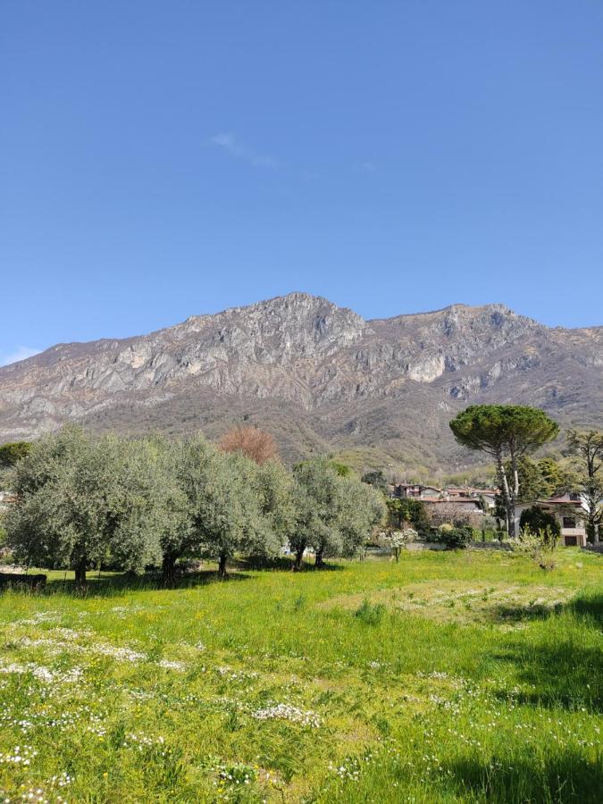 ליירנה La Casa A Chiocciola Between Lake And Mountains מראה חיצוני תמונה